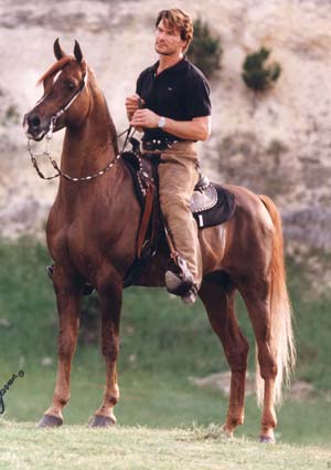Patrick Swayze Arab Horses